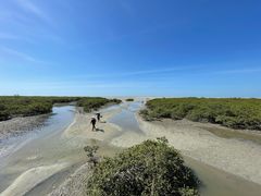 -北海金海湾红树林生态旅游区