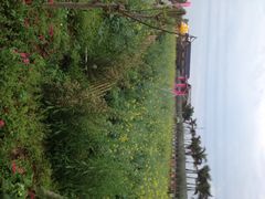 盈香生态园-盈香心动乐园