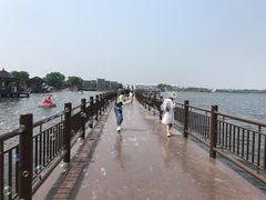 -鹅湖玫瑰文化园