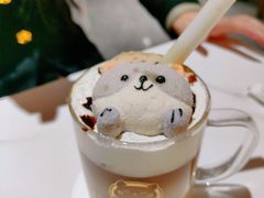 -猫小院猫主题餐厅(南锣旗舰店)