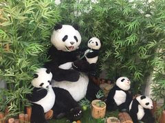 -济州岛泰迪熊博物馆