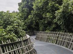 -福道