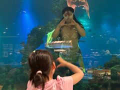 -涛·海底餐厅·美人鱼·自助餐·海底隧道(三亚海棠湾洲际度假酒店)