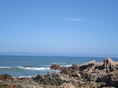 -小麦岛公园