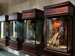 -帕帕拉兹宠物(亚洲旗舰店)