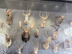 -陕西自然博物馆