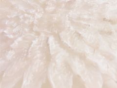 -鱼市酒店(威海水产批发市场店)