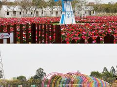 -盈香心动乐园