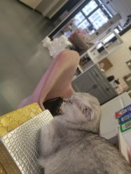 -伍小姐美甲美睫半永久