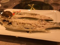 -金燕岛潮州酒楼