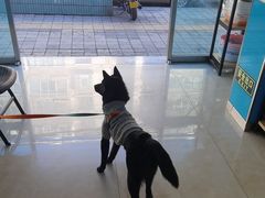 -康爱犬猫诊所·牙专科·骨外科·影像内科(丰宁店)
