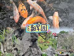 -聚福山莊·寻味顺德(北滘店)