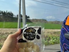 -支芴洞爷国立公园