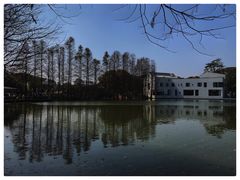 -中国科学院华南植物园