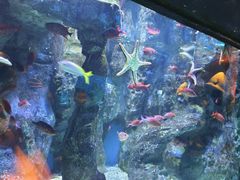 -海合安成都极地海洋公园