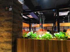 -山之屋炭火烧肉·生啤畅饮(大朗万科中央公园店)