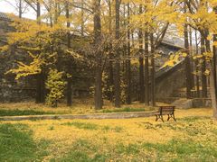 -阳台山自然风景区