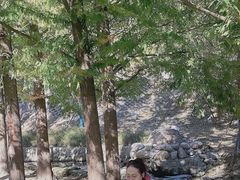 -白水寺森林公园