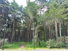 -长春净月潭风景名胜区