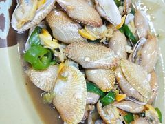 -贞姨美食·老字号海鲜大排档