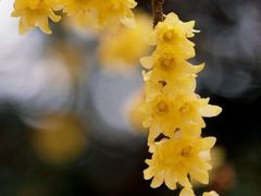 -月坛公园