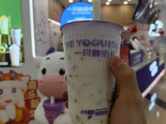 -一只酸奶牛(来福士店)