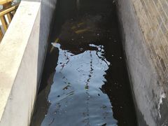 餐具摆设-何适山庄 ·可团建(水长城P2停车场店)