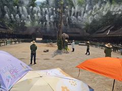 -野象谷景区