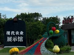 -东南花都花博园