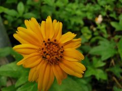 -爱尚鲜花店(粤通综合楼店)