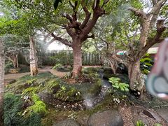 -Chom Cafe and Restaurant