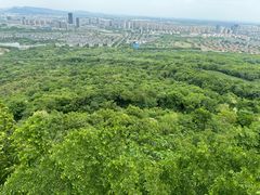 -南京市江宁方山