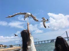 -星海广场