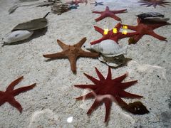 -福州罗源湾海洋世界旅游区
