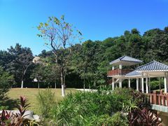 景点-火炉山森林公园