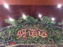 -呀诺达热带雨林