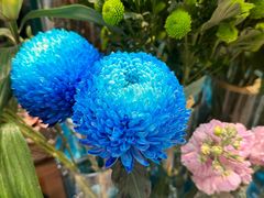-BOBLOOM花店(宝龙旭辉广场店)
