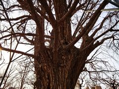 -北京石刻艺术博物馆(五塔寺)