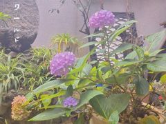 -丽江三义国际机场