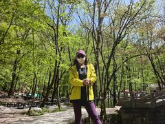 -牛背梁国家森林公园