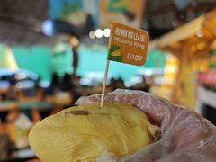 D197-榴莲BB 四季果园