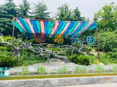 -青岛森林野生动物世界