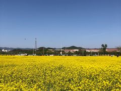 -北京金海湖景区
