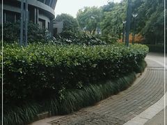 -杭州城北体育公园