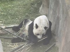 -青藏高原野生动物园