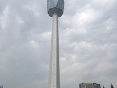 -陕西自然博物馆