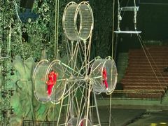 -灵玲国际马戏城