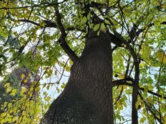 -蜀绣公园