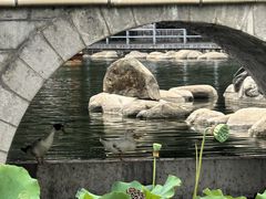 -莲湖公园