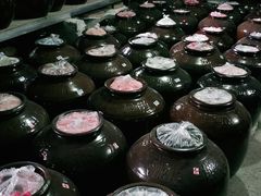 -罗坑大草原